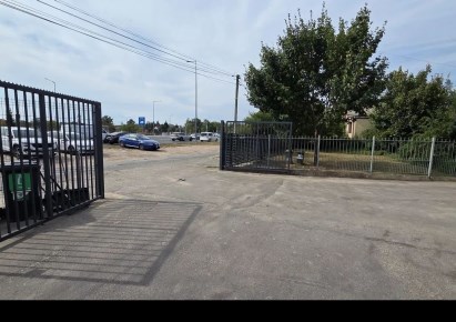 lokal na wynajem - Warszawa, Białołęka, Dąbrówka Szlachecka